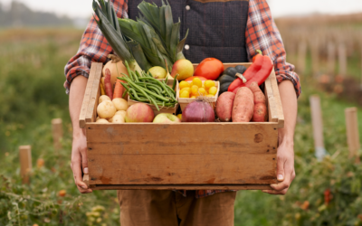 Discover the Bounty of Boulder: A Guide to Local CSAs