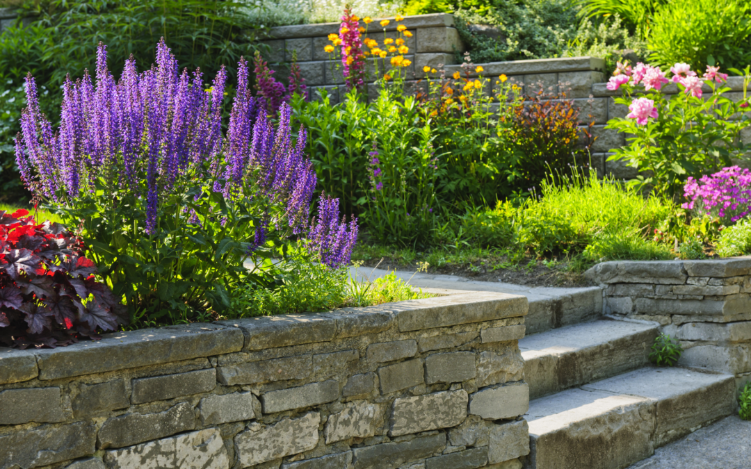 Eco-Friendly Landscaping Tips for a Greener Colorado Home