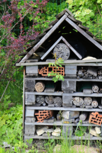 Extensive insect hotel to attract beneficial insects to your Colorado garden