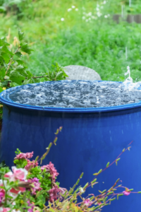 A rainwater barrel collection system at Colorado home